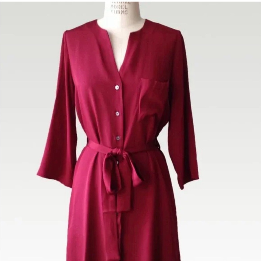 Amour Vert Emily Button Front Silk Mini Dress Cabernet